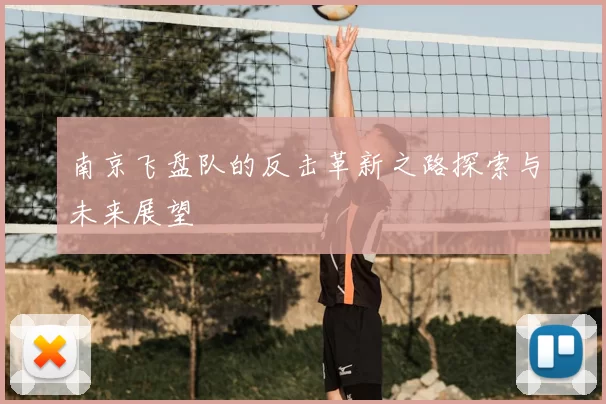 南京飞盘队的反击革新之路探索与未来展望