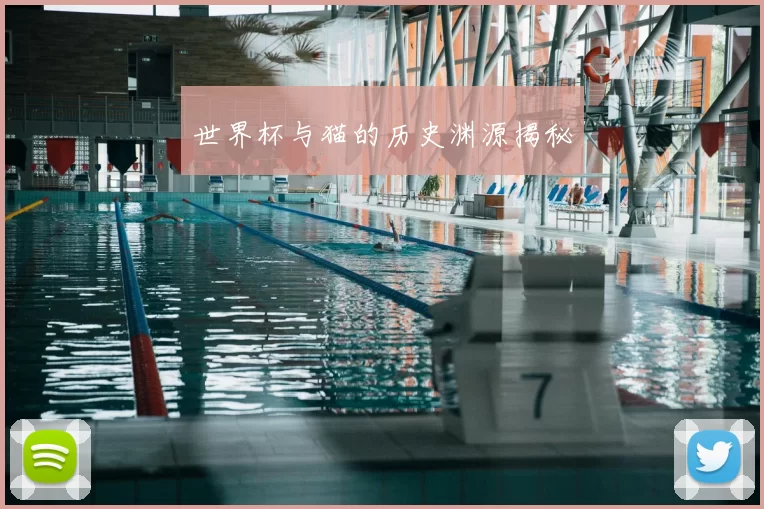 世界杯与猫的历史渊源揭秘