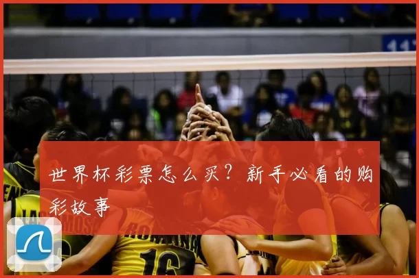 世界杯彩票怎么买？新手必看的购彩故事