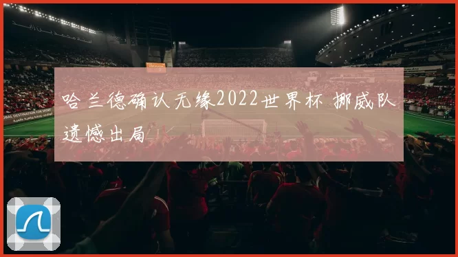 哈兰德确认无缘2022世界杯 挪威队遗憾出局