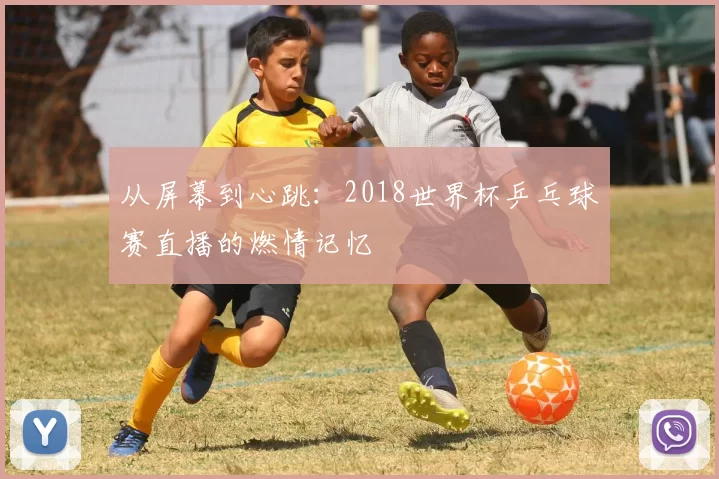从屏幕到心跳:2018世界杯乒乓球赛直播的燃情记忆