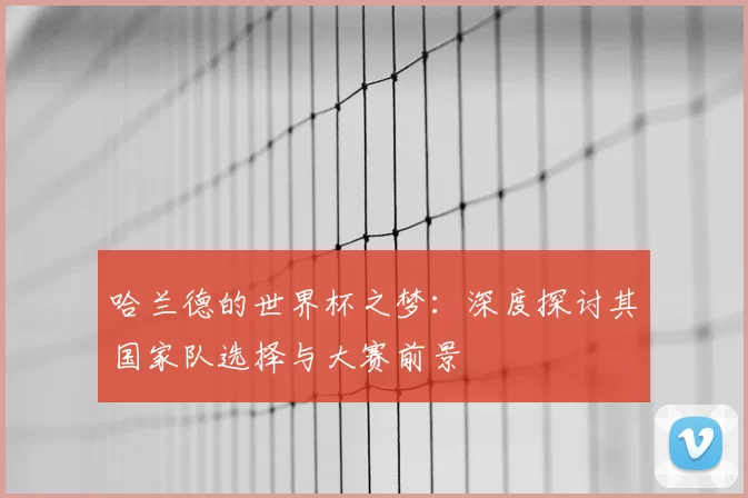 哈兰德的世界杯之梦:深度探讨其国家队选择与大赛前景