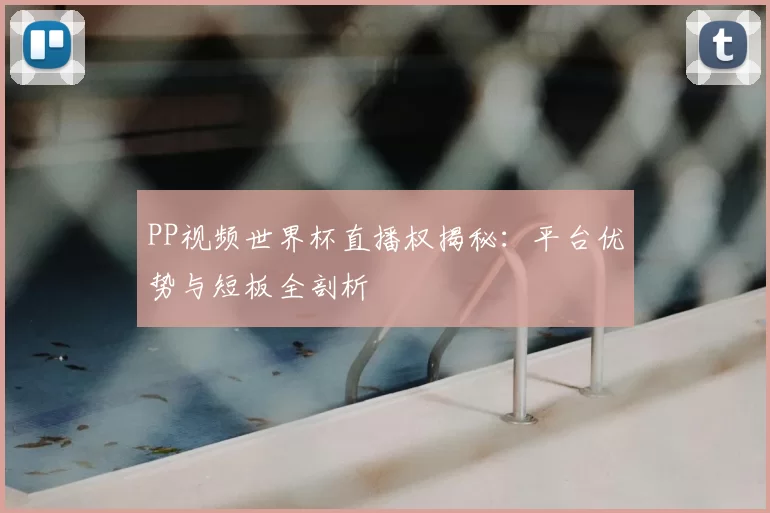 PP视频世界杯直播权揭秘：平台优势与短板全剖析