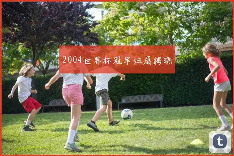 2004世界杯冠军归属揭晓