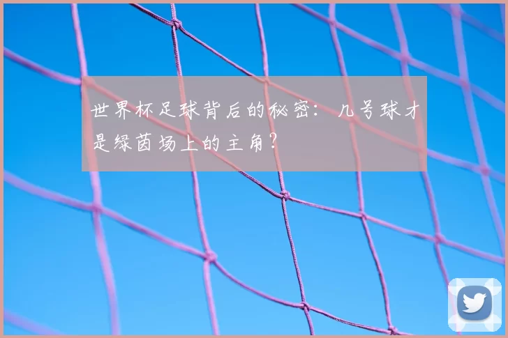 世界杯足球背后的秘密：几号球才是绿茵场上的主角？