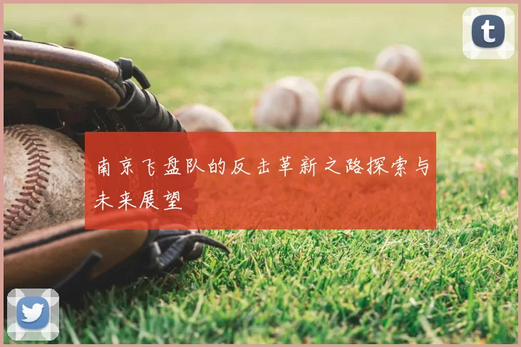 南京飞盘队的反击革新之路探索与未来展望
