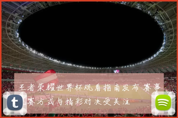 王者荣耀世界杯观看指南发布 赛事观赛方式与精彩对决受关注