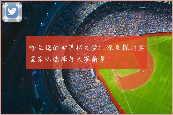哈兰德的世界杯之梦:深度探讨其国家队选择与大赛前景