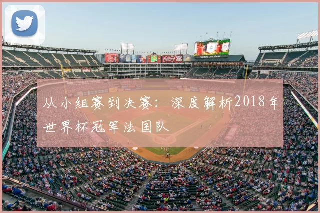 从小组赛到决赛：深度解析2018年世界杯冠军法国队