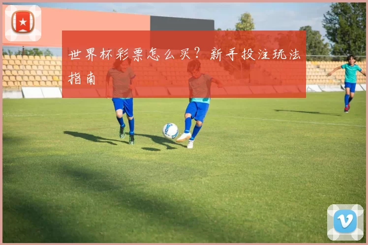 世界杯彩票怎么买？新手投注玩法指南